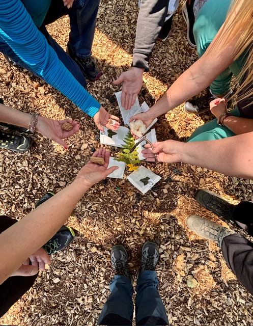  🌳🌸Wenn Begegnung auf Natur trifft 🦋 🌲 Kurs: Begleitete Natur - Auszeit zur Gesundheitsförderung und Stressprävention im Park Seleger Moor
